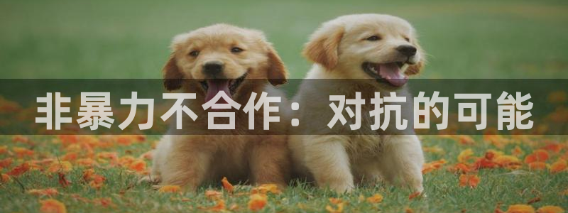 漫蛙漫画官网入口正版