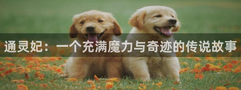 漫蛙哪里下载