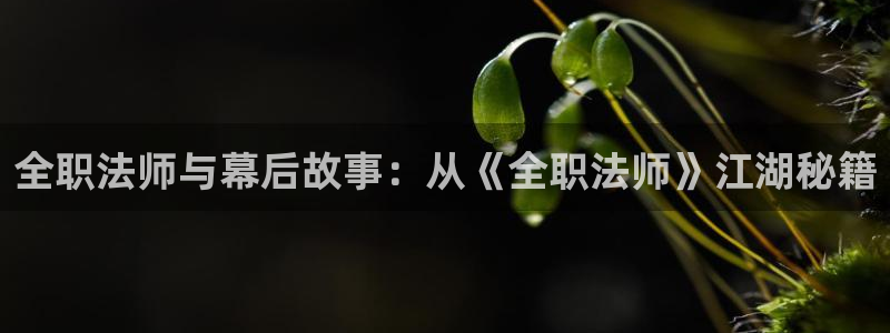 漫蛙wanna官网