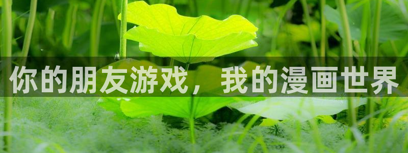 漫蛙app网页