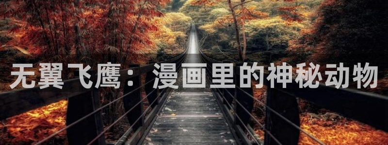 漫蛙如何登陆