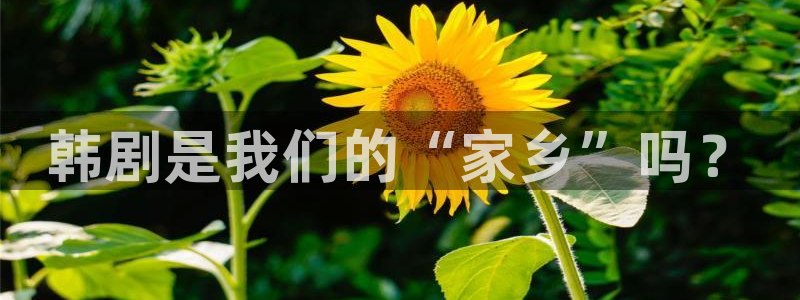 漫蛙漫画官网入口下载
