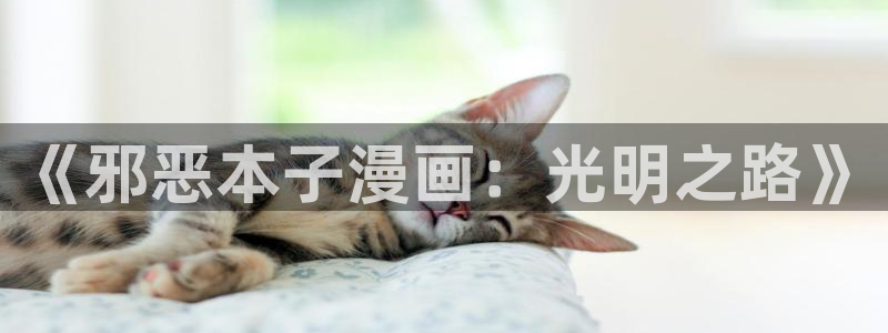 漫蛙正版app下载