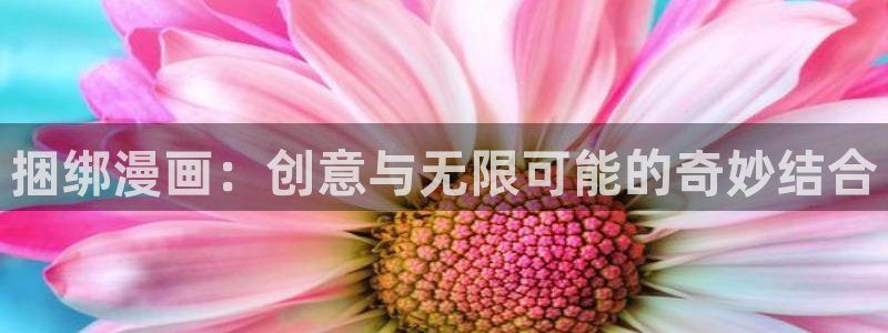 漫蛙manwa2防走失