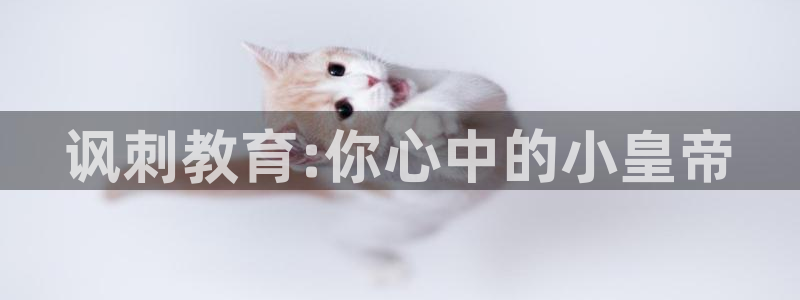 漫蛙漫画网页版本