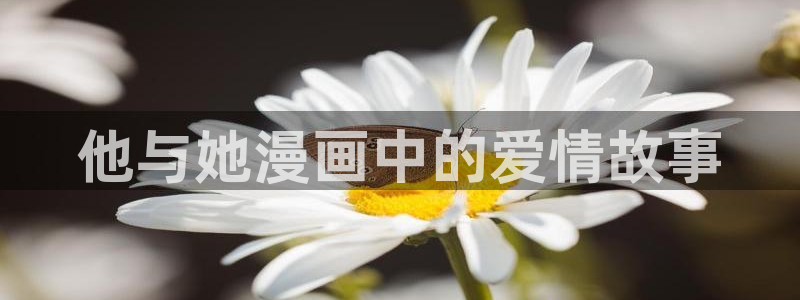漫蛙2免费官网入口