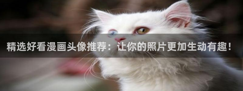 漫蛙manwa官网链接