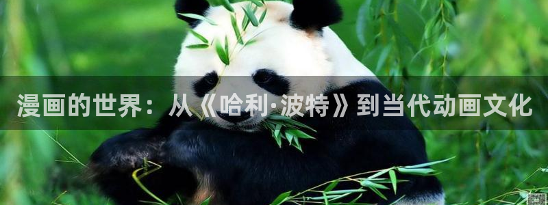看漫蛙