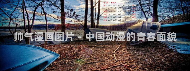 漫蛙漫画网页版入口处：帅气漫画图片 - 中国动漫的青春面貌