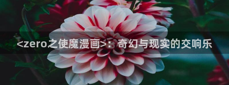 漫蛙22024：<zero之使魔漫画>：奇幻与现实的交响乐
