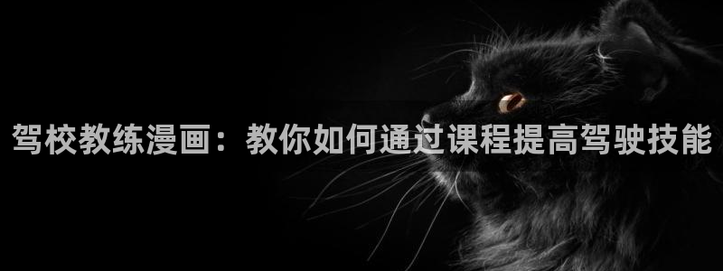 漫蛙manwa2免费漫画入口页：驾校教练漫画：教你如何通过课程提高驾驶技能