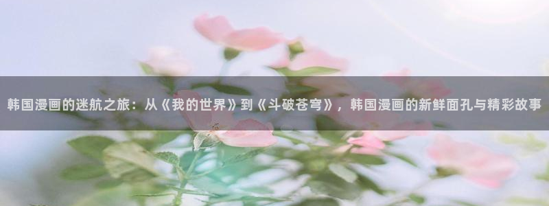 漫蛙0：韩国漫画的迷航之旅：从《我的世界》到《斗破苍穹》，韩国漫画的新鲜面孔与精彩故事