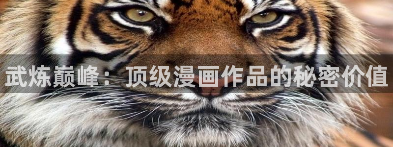 漫蛙正版下载网址：武炼巅峰：顶级漫画作品的秘密价值