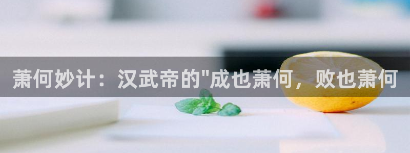 漫蛙网页进入：萧何妙计：汉武帝的\