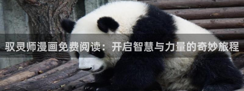 漫蛙manwa2正版下载2025：驭灵师漫画免费阅读：开启智慧与力量的奇妙旅程
