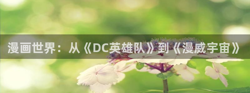 漫蛙漫画官网入口：漫画世界：从《DC英雄队》到《漫威宇宙》