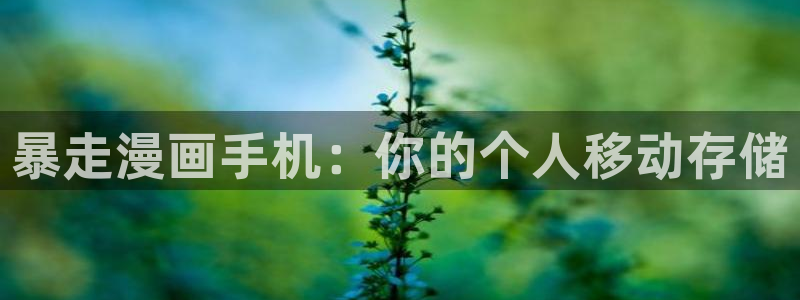 韩国漫蛙：暴走漫画手机：你的个人移动存储