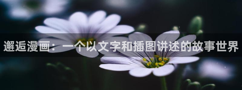 漫蛙网页入口官方：邂逅漫画：一个以文字和插图讲述的故事世界