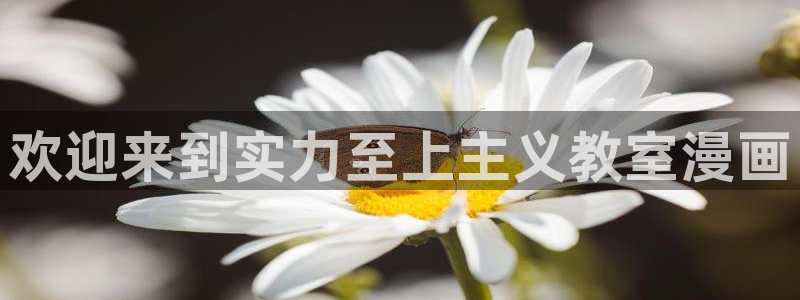 类似漫蛙的漫画网站：欢迎来到实力至上主义教室漫画
