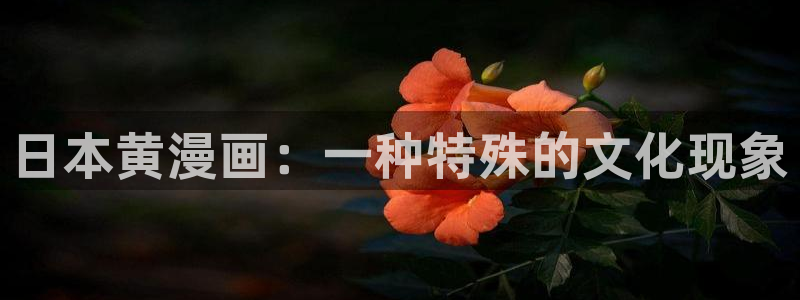漫蛙manwa漫画官网网址：日本黄漫画：一种特殊的文化现象