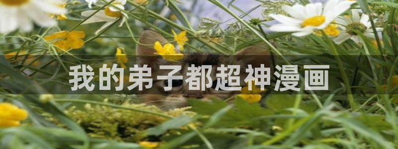漫蛙2链接：我的弟子都超神漫画