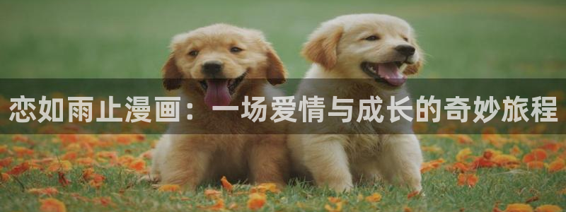 原神漫蛙