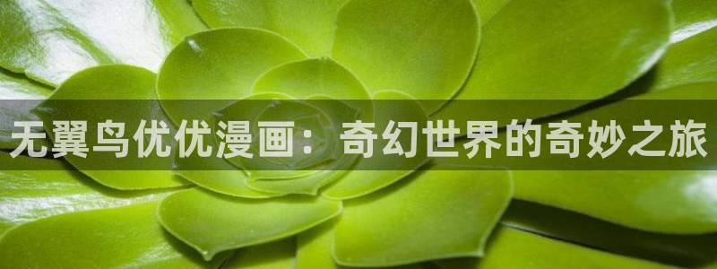 漫蛙可以用什么浏览器