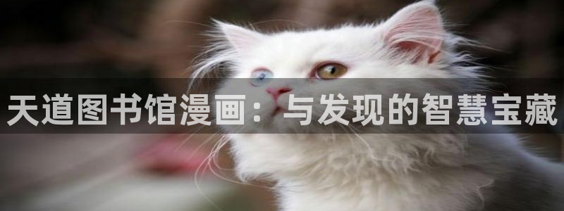 漫蛙2台版入口