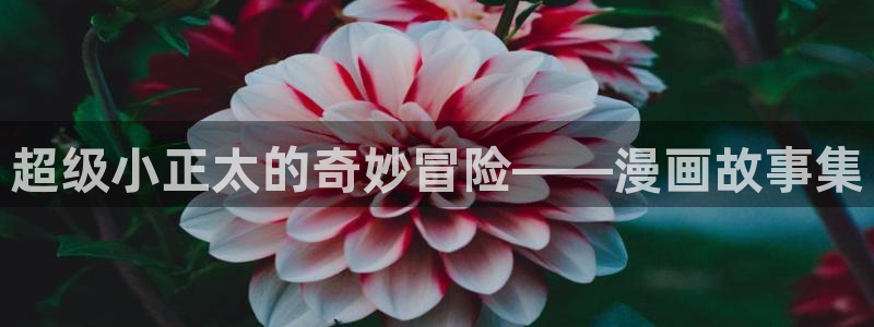 漫蛙漫画网址链接是什么