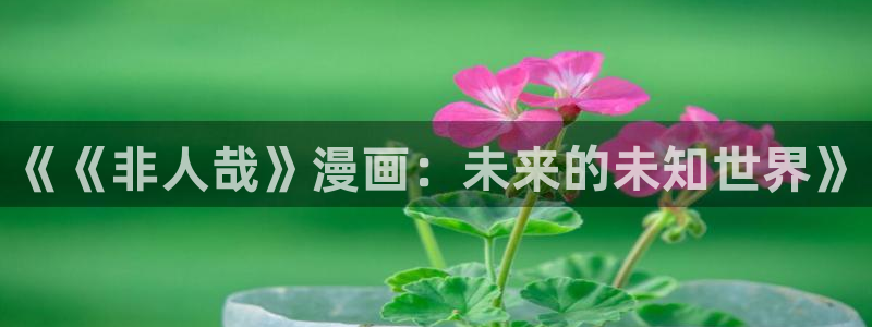 2025漫蛙