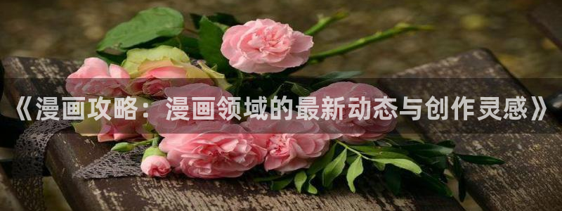 漫蛙怎么下载不了了