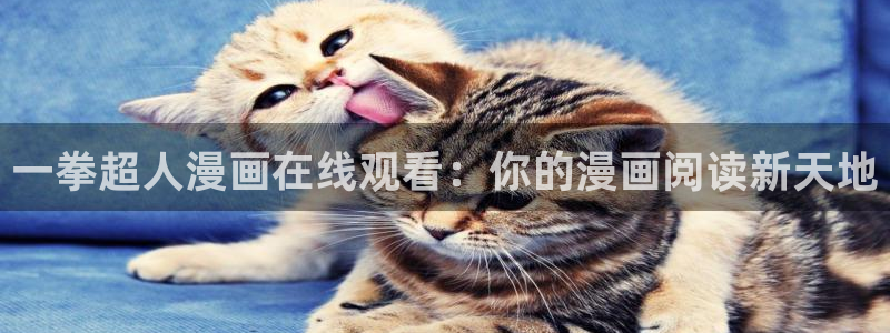 漫蛙纯净版