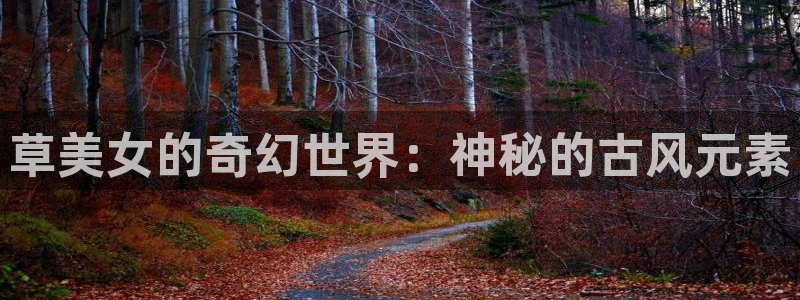 漫蛙app下载官网