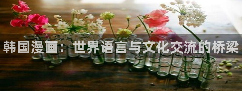 漫蛙用什么浏览器：韩国漫画：世界语言与文化交流的桥梁